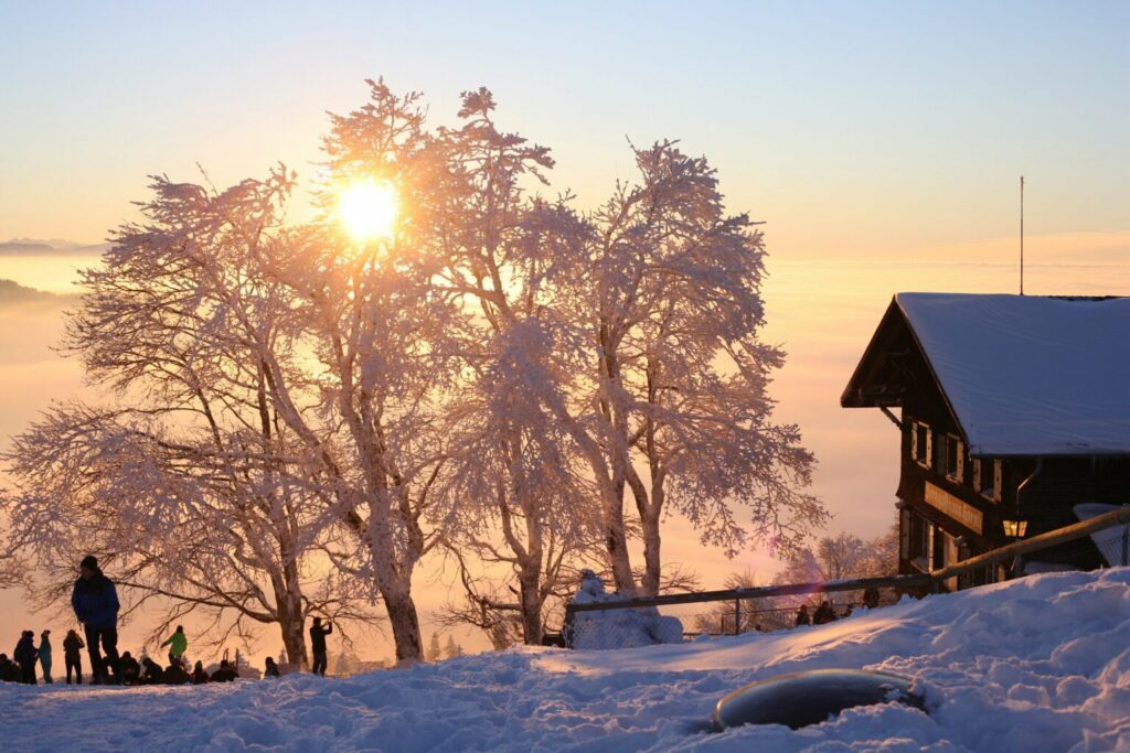 Video on tuloksellinen tapa kertoa tuotteesta